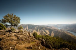 S&atilde;o Leonardo da Galafura