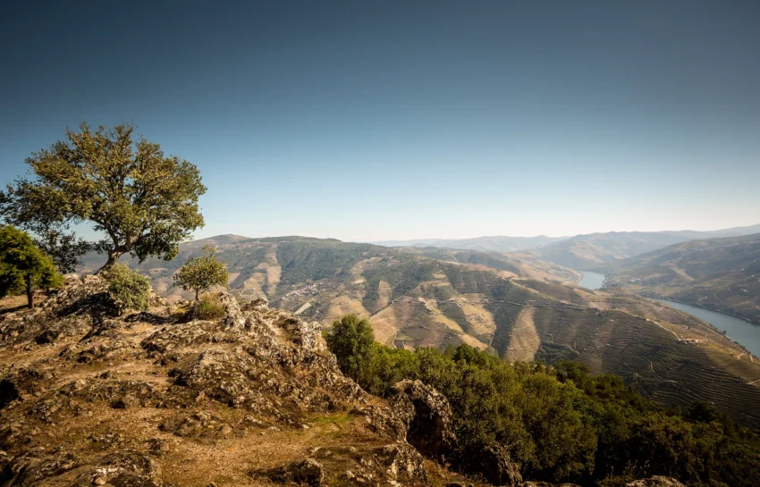 Miradouro de São Leonardo da Galafura – Cidade da Régua