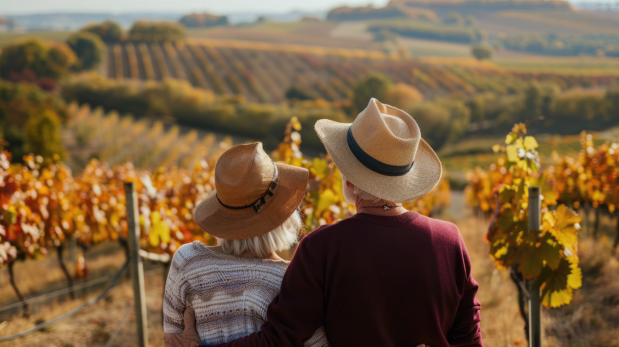 experiências em Vila Real, o que fazer na Régua, experiências na Régua, atividades turísticas na Régua, passeios de barco na Régua, turismo fluvial na Régua, atividades no Douro, Experiências em Lamego, atividades turísticas em Lamego, o que fazer em Lamego, turismo em Lamego, pontos de interesse em Lamego