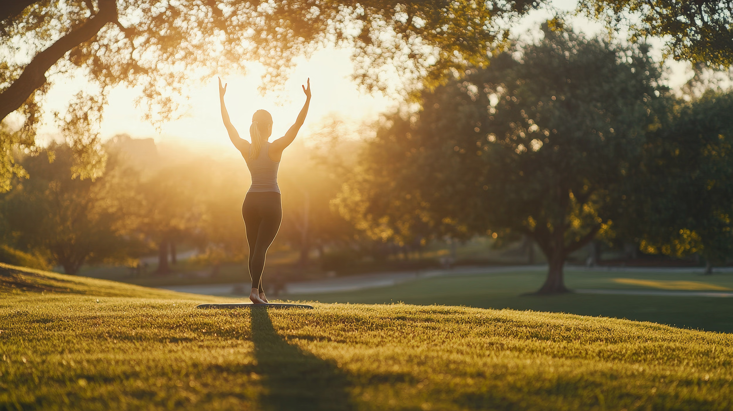 bem-estar em Lamego, bem-estar na Régua, estética na Régua, cabeleireiros na Régua, saúde na Régua, veterinários na Régua