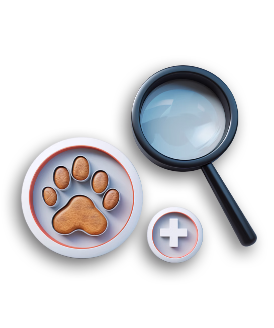 Peso da Régua, Mercado Municipal, Douro Granfondo, Douro Valley, Paisagens do Douro, Turismo no Douro, Estação Ferroviária, Douro Vinhateiro, Vinho do Porto, Eventos desportivos no Douro,