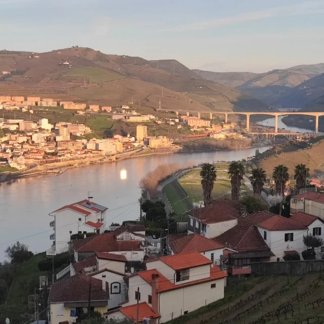 @visitpesodaregua @discover.douro @ilovedouro @fortheloveofport @dourosecrets